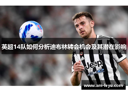 英超14队如何分析迪布林转会机会及其潜在影响