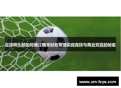 足球俱乐部如何通过精准财务管理实现竞技与商业双赢的秘密