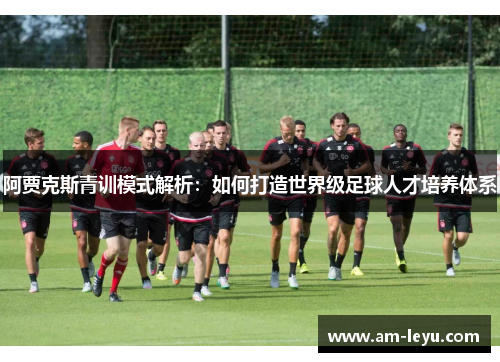阿贾克斯青训模式解析：如何打造世界级足球人才培养体系