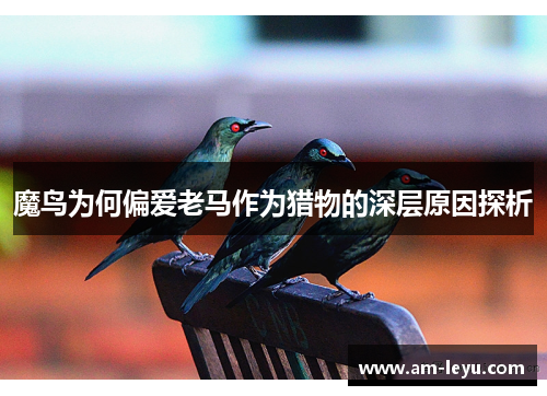 魔鸟为何偏爱老马作为猎物的深层原因探析