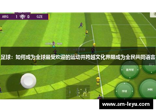 足球：如何成为全球最受欢迎的运动并跨越文化界限成为全民共同语言