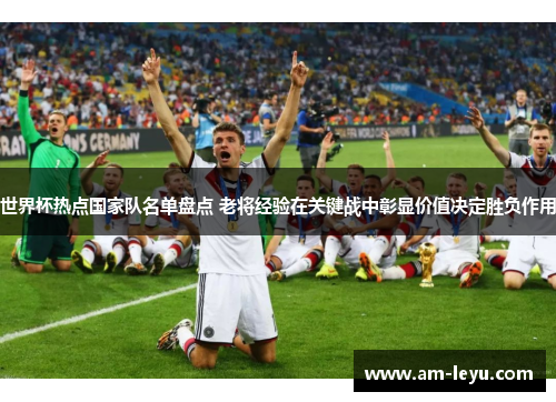 世界杯热点国家队名单盘点 老将经验在关键战中彰显价值决定胜负作用