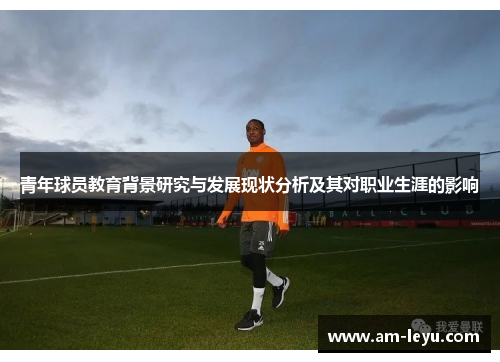 青年球员教育背景研究与发展现状分析及其对职业生涯的影响