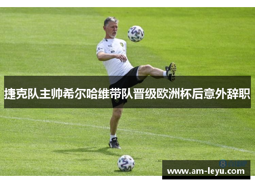 捷克队主帅希尔哈维带队晋级欧洲杯后意外辞职
